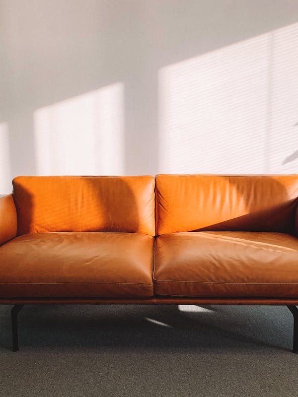 Tulle Tailored Trouser